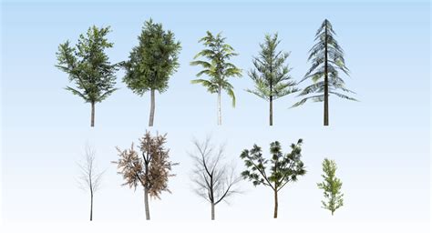 Game Ready Trees Pack 3d Asset Cgtrader