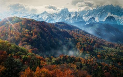 Nature Landscape Mountain Forest Fall Mist Trees Alps Snowy