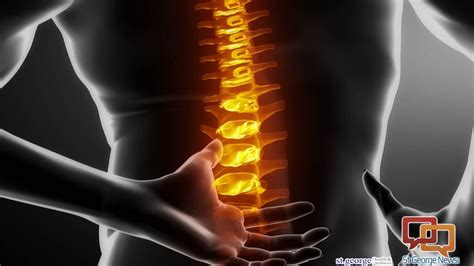 Arthritis In Low Back Or Neck St George News