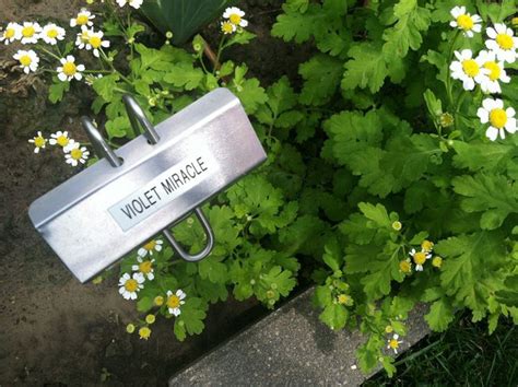 Identifying Your Favorite Plants Is A Snap With Kincaid Garden Markers