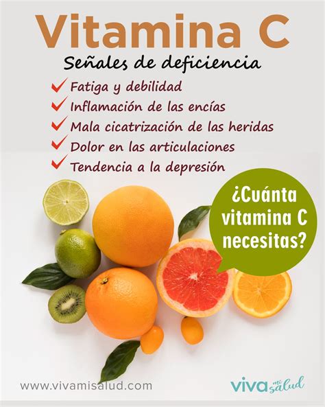 ¿por Qué Es Importante La Vitamina C Guía De Nutrición Alimentos