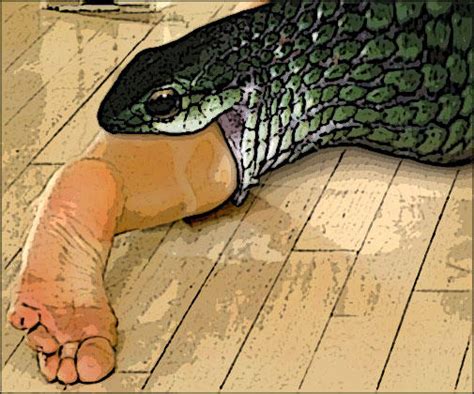 Snake Vore Foot In Mouth By Johnjohnvv On Deviantart