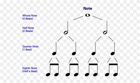Musical notes and their usage. Notes, Rhythms And Rests - Symbol For Whole Note, HD Png Download - 720x498(#2779742) - PngFind