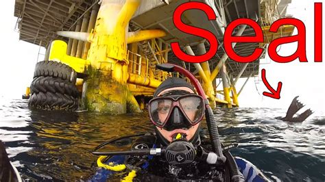 Scuba Diving An Abandoned Oil Rig Youtube