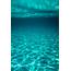 Clear Underwater Sea Background By Simon  Water Stocksy United