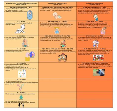 CUADRO COMPARATIVO ETAPAS DEL DESARROLLO UDocz