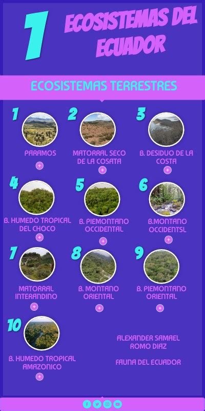 Infografia Sobre Los Ecosistemas Del Ecuador Images And Photos Finder