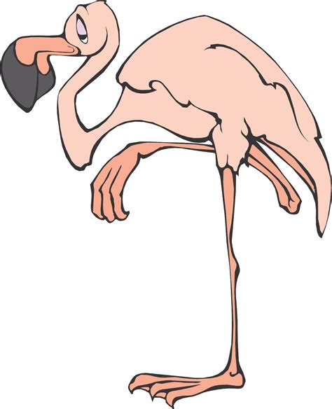 Cartoon Flamingo Clipart Best