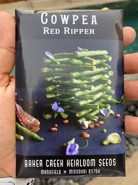 Red Ripper Cowpea Local Roots