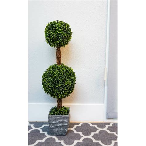 Desktop Double Ball Shaped Boxwood Topiary In Pot And Reviews Joss And Main