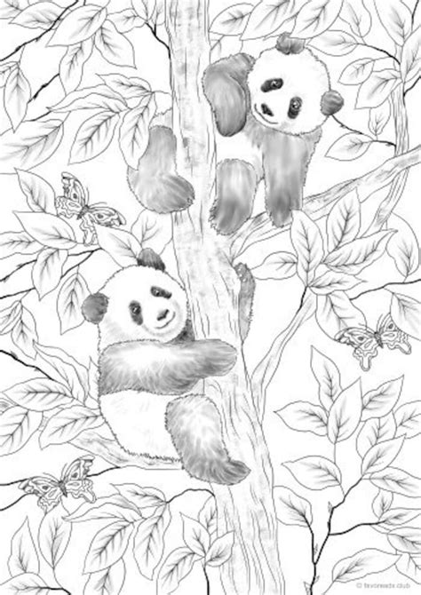 Pandas Printable Adult Coloring Page From Favoreads Coloring Etsy