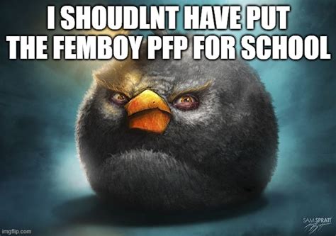Angry Birds Bomb Imgflip