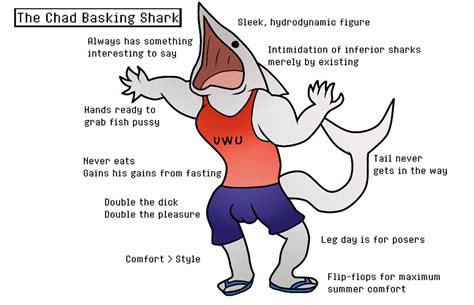 The Chad Basking Shark By Turismoturbo On Deviantart
