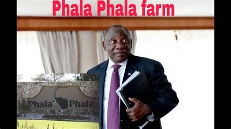 cyril ramaphosa answer important phala phala questions in parliament youtube