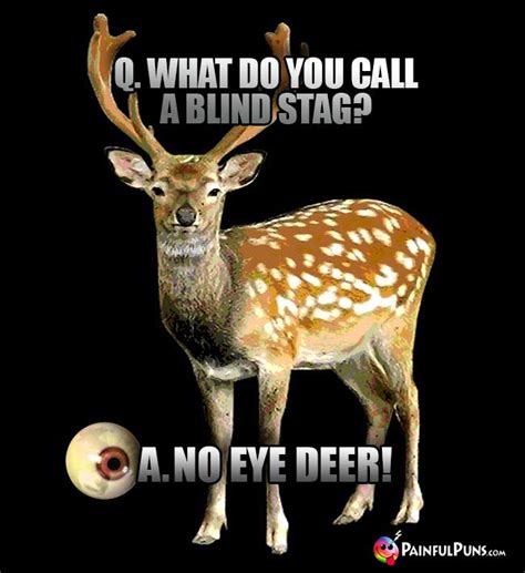 No Eye Deer Joke Trend Meme
