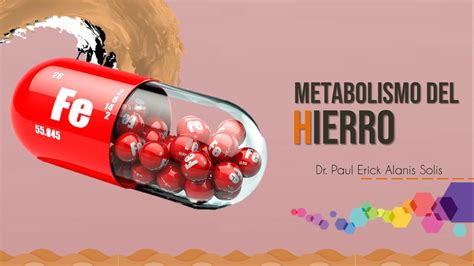 Metabolismo Del Hierro Youtube