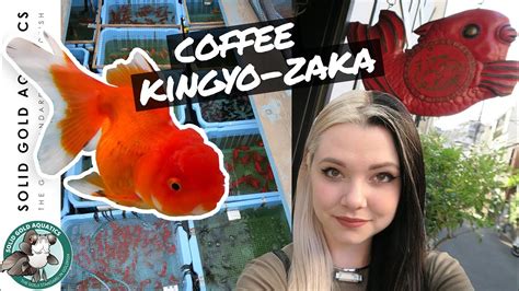 Tokyo Goldfish Cafe Japan Goldfish Trip Ep 6 Youtube