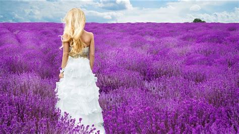 Woman In Lavender Field Acrylic Painting Live Tutorial Youtube