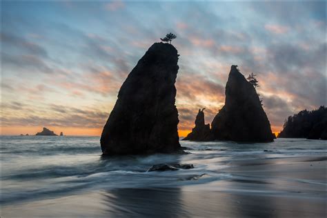 Seastacks At Sunset Rialto Beach Olympic National Park By William
