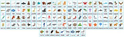 100 Animal Flashcards Free Animals Phonics Poster