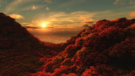 Nature Landscape Trees Forest Sun Fall Clouds Hills Wallpapers