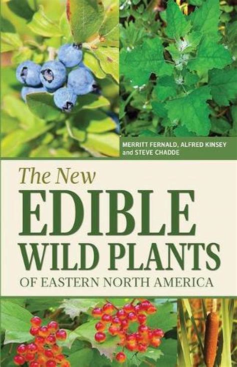 The New Edible Wild Plants Of Eastern North America A Field Guide To