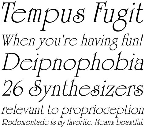 University Roman Com Italic Fonts