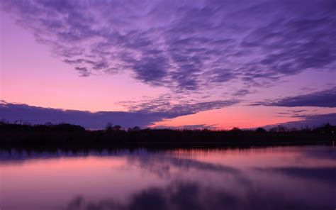 Lake Water Surface Trees Evening Sunset Purple Sky Clouds Wallpaper