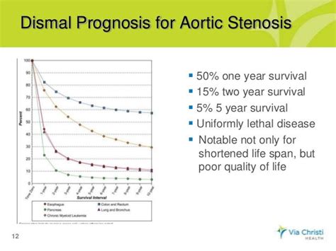 Medical Management Of Aortic Stenosis Les Baux De Provence