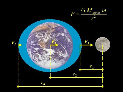 Physics Notes For Jeemain The Pull Of The Earth Ednexa