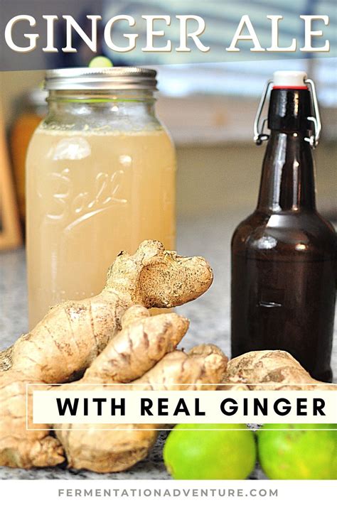 Making Ginger Beer Homemade Ginger Beer Homemade Drinks Homemade
