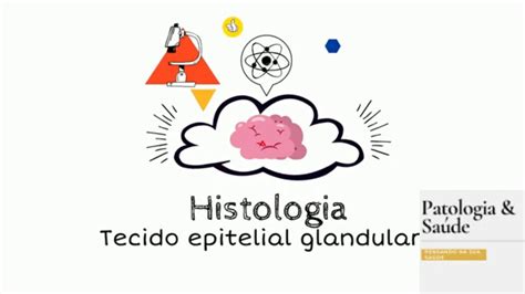 Histologia Tecido Epitelial Glandular Youtube