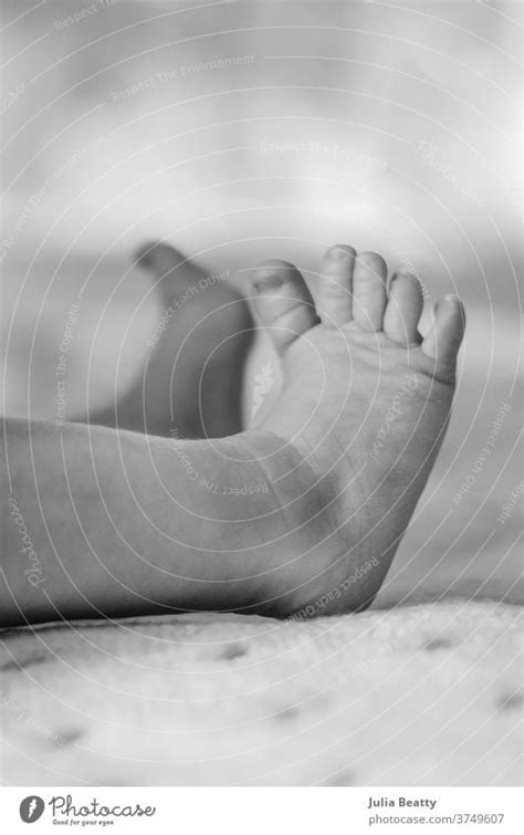 Newborn Baby Laying Down Feet With Flexed Toes A Royalty Free Stock