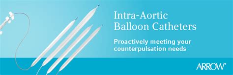 Intra Aortic Balloon Catheters Sea Teleflex