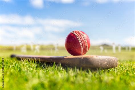 Cricket Ball On Top Of Cricket Bat On Green Grass Of Cricket Ground