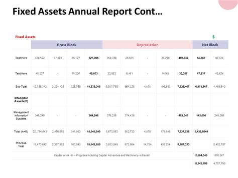 Fixed Assets Annual Report Cont Management Information Ppt Powerpoint