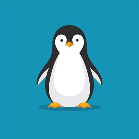 Best Penguin Illustrations Royalty Free Vector Graphics And Clip Art