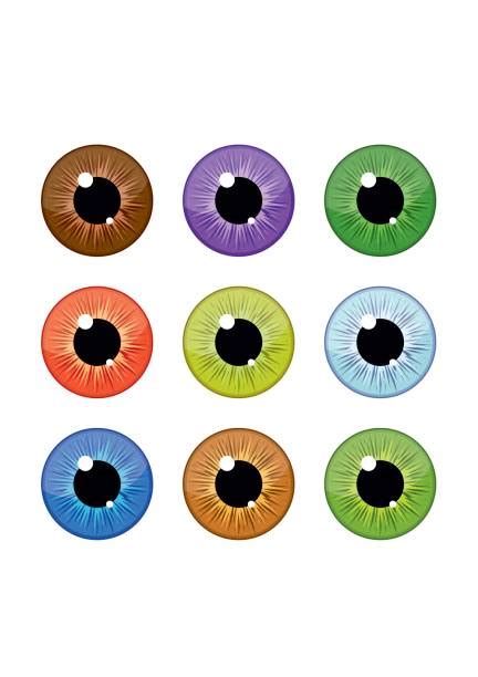 Royalty Free Eye Color Clip Art Vector Images And Illustrations Istock