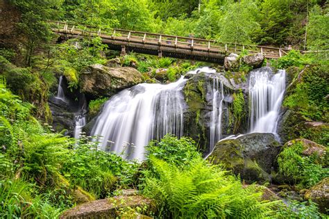 Las 11 Mejores Cosas Que Hacer En La Selva Negra ¿cuáles Son Los