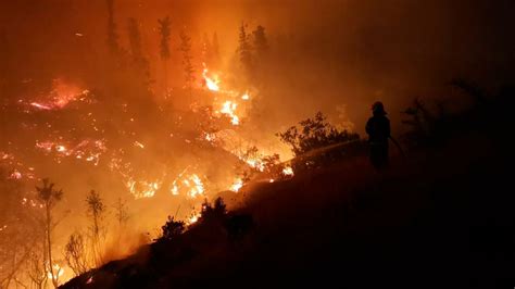 Incendios Forestales Cuatro Provincias Combatieron Nuevos Focos Infobae