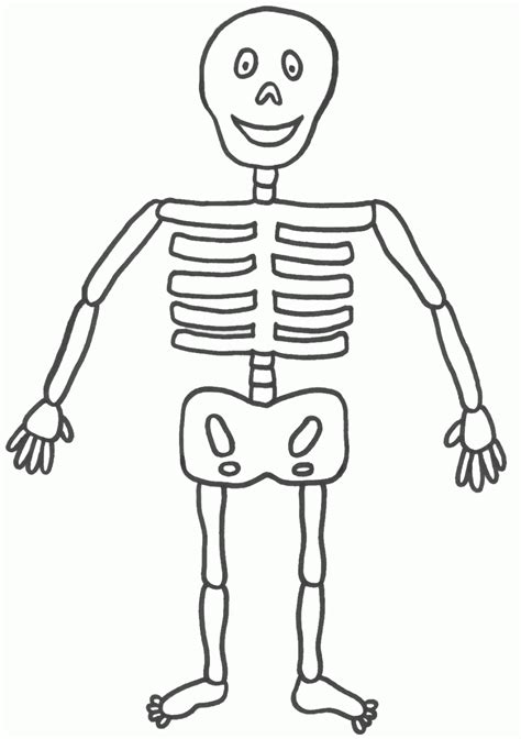 77 Anatomy Coloring Pages Skeleton Frauki Chererbse