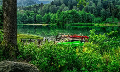Karagol Artvin Turkey Landscape Nature Beauty Amazing Lake