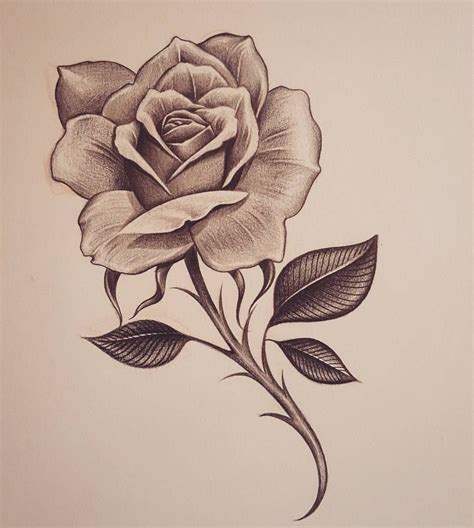 See This Instagram Post By Inkd Monkey 31 Likes Rose Drawing Tattoo