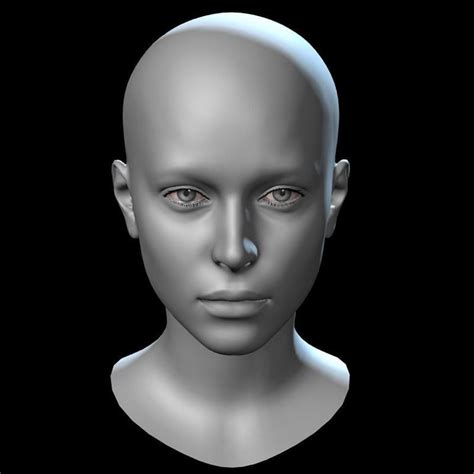 3d Model Low Poly Female Head Cgtrader