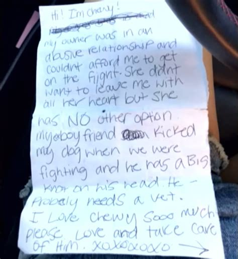 Julian 18 with boyfriend in bathroom 4 min. Woman Found Puppy Abandoned In Airport Bathroom And Reads ...