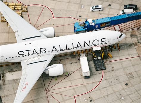 スターアライアンスとは？加盟航空会社や特徴、メリットを解説 ターキッシュ・カルチャークラブ