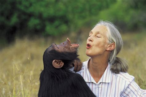 Jane Goodall La Primatóloga Más Famosa Del Mundo Nació El 3 De Abril