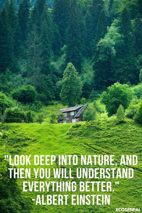 Beautiful Green Nature Quotes Shortquotescc