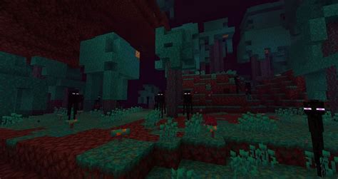 Warped Forest Vs Crimson Forest In Minecraft How Different Are The Two
