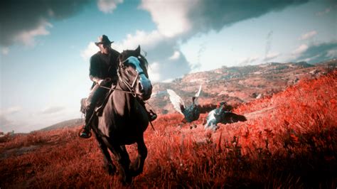 Red dead 2 striped skunk locations, where you can find and what you can craft with skunk. rdo on Tumblr